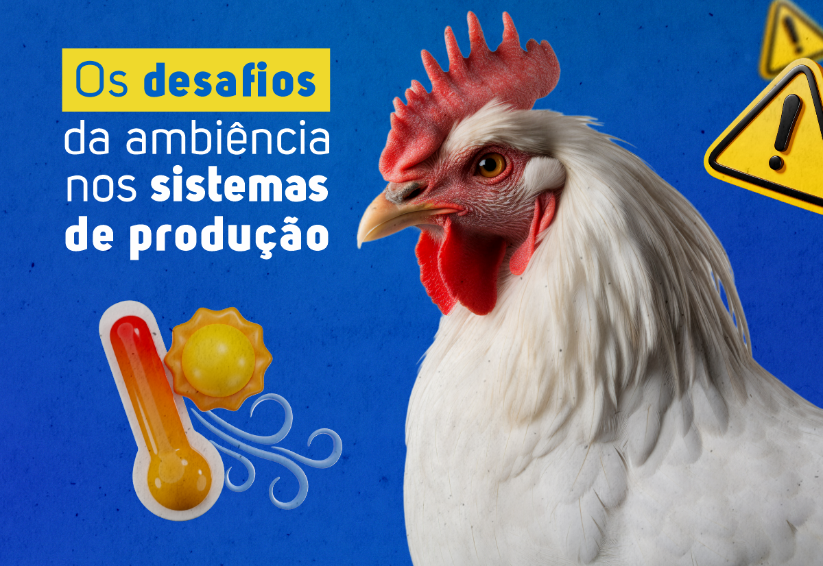 Capa Ambience in Poultry Farming - the challenges of ambience in production systems